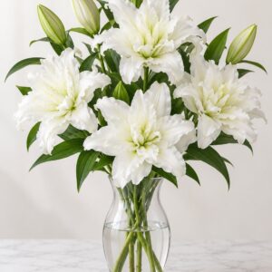 Pure White Double Liliums
