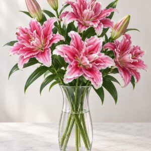 Rose Pink Liliums