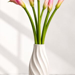 SUPER PINK  ARUM CALLA LILLY  NATURAL ELEGANCE FOR A BRIGHTER SPACE