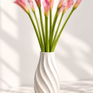 First Grade Pink Arum Calla Lily